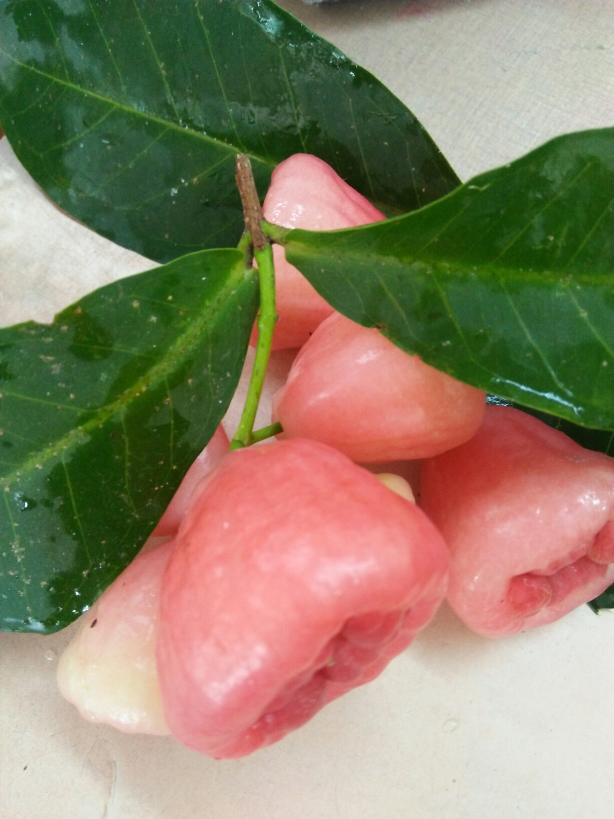 雾莲_帖子_oppo手机官方社区