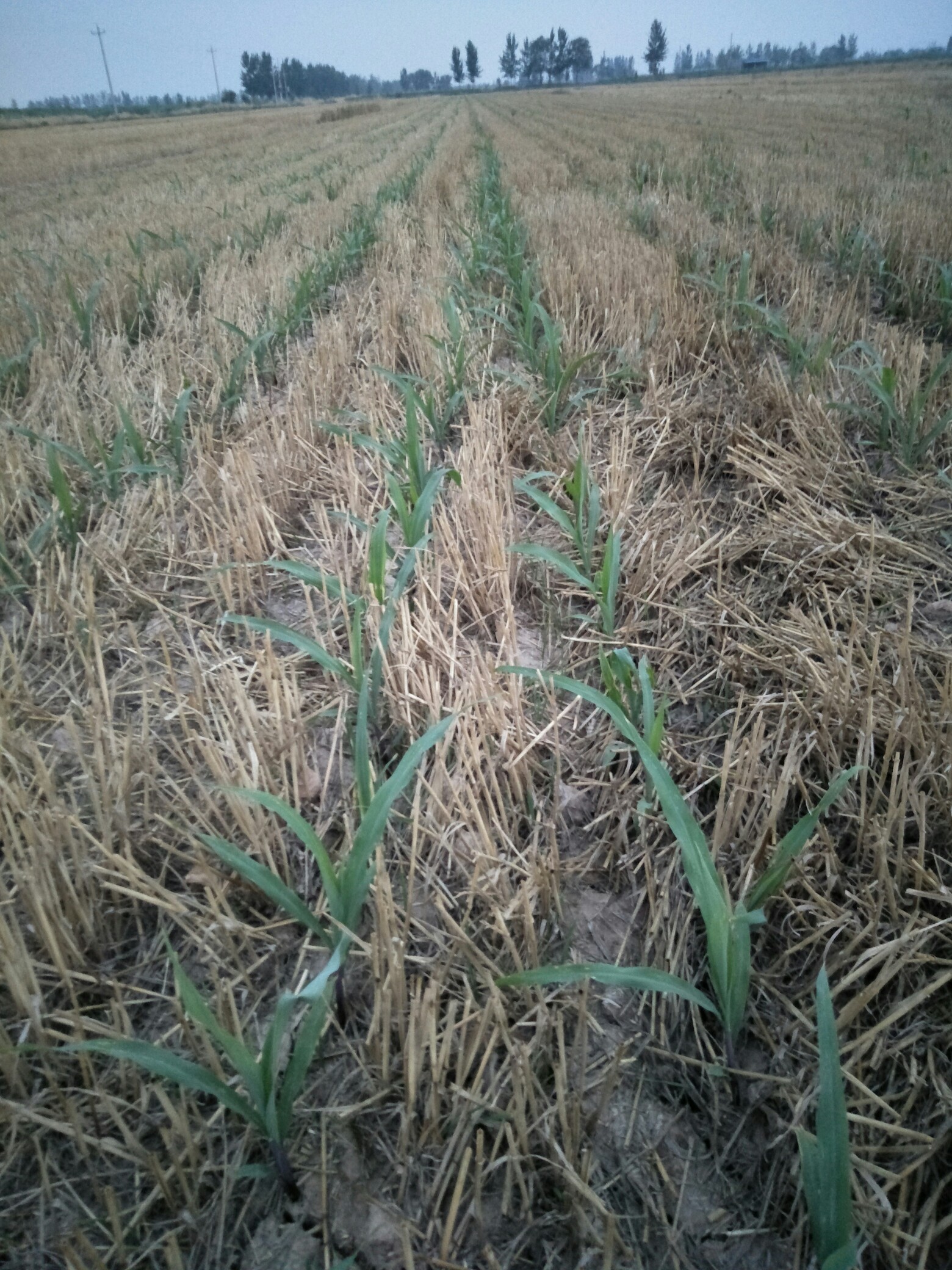 雨过天晴心情好