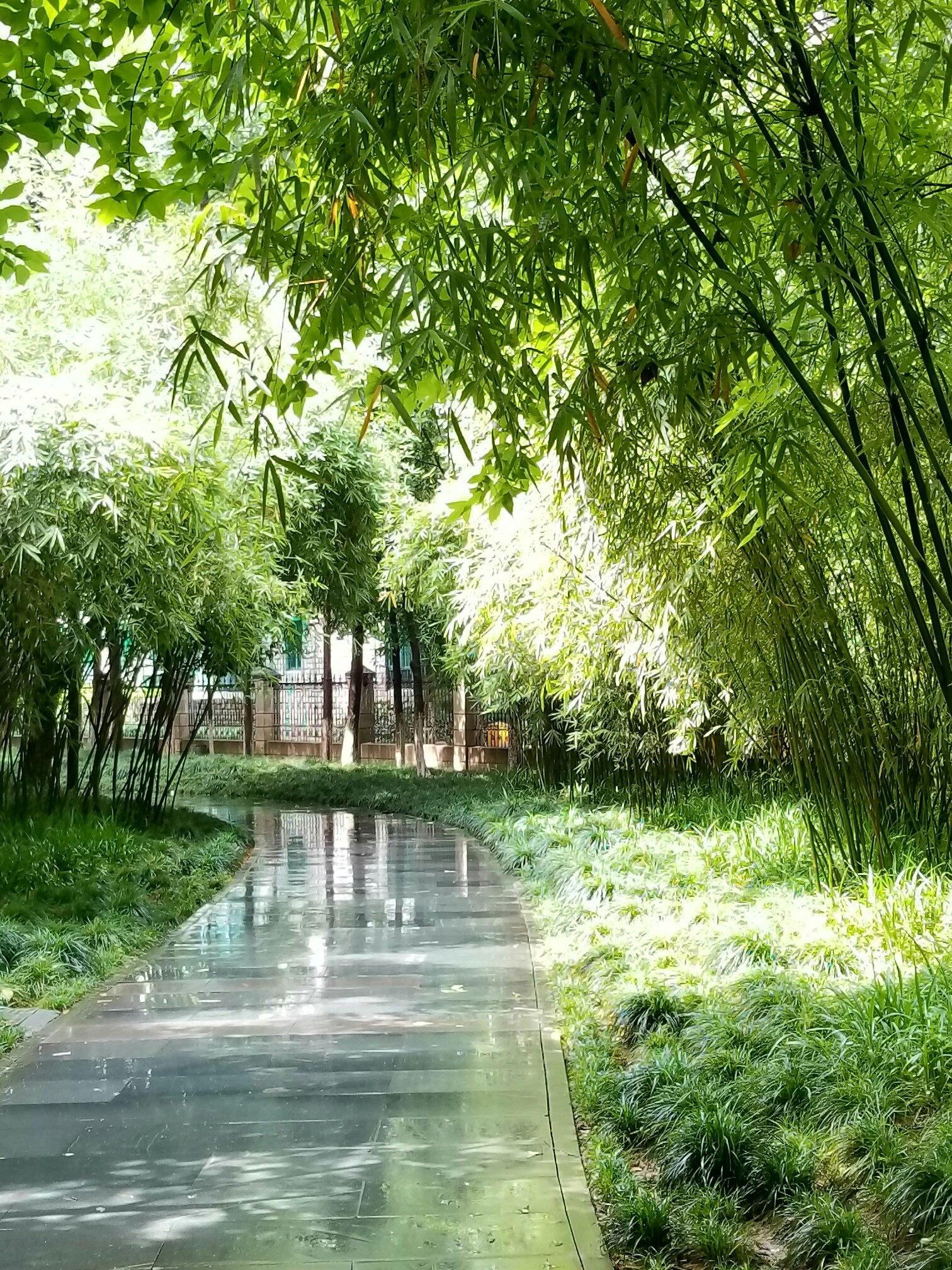 雨后放晴_帖子_oppo手机官方社区