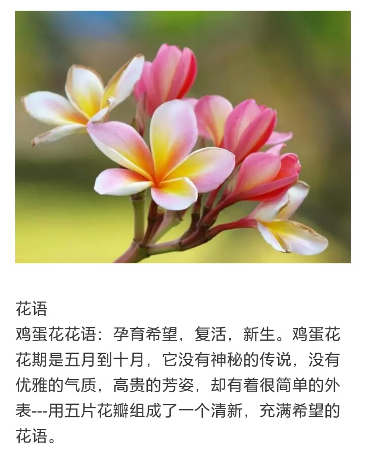 欣赏网图一