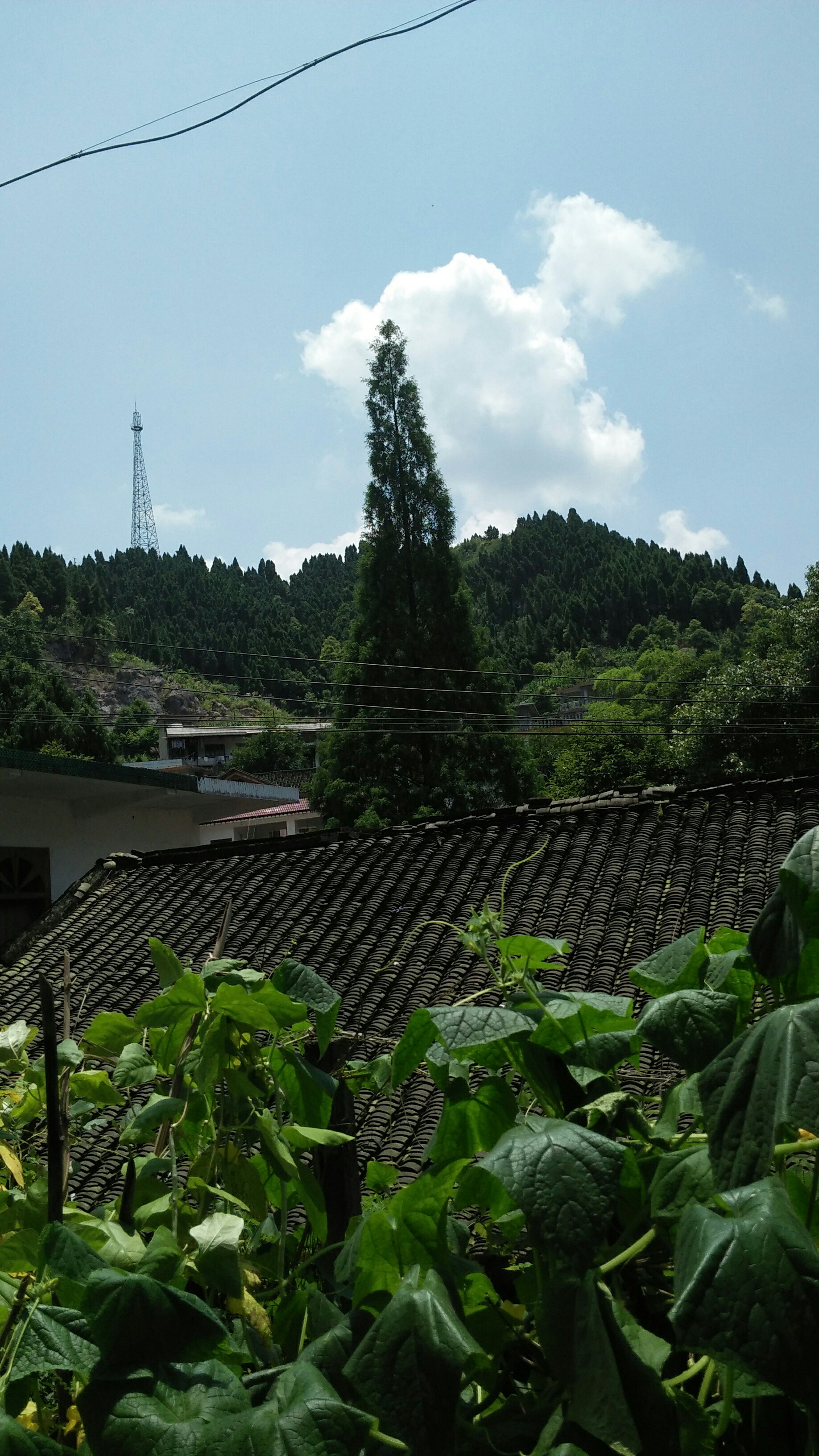 今天好热啊!这么大的太阳.