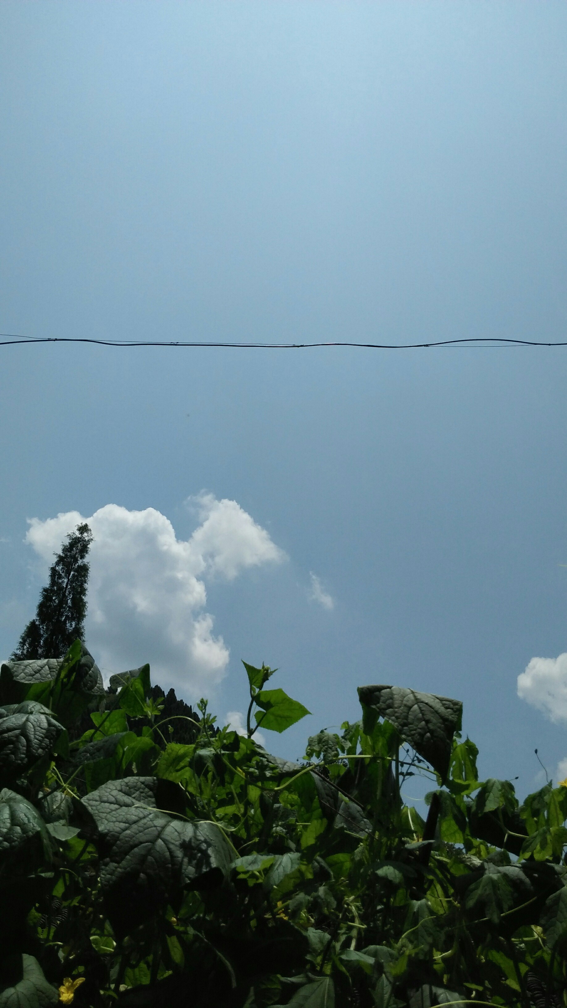 今天好热啊!这么大的太阳.