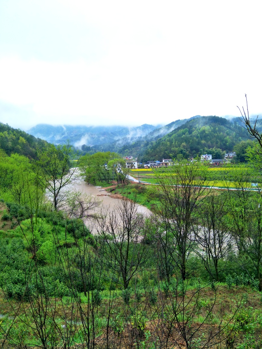 雨后的大山,景色多么怡人!空气多么清新!