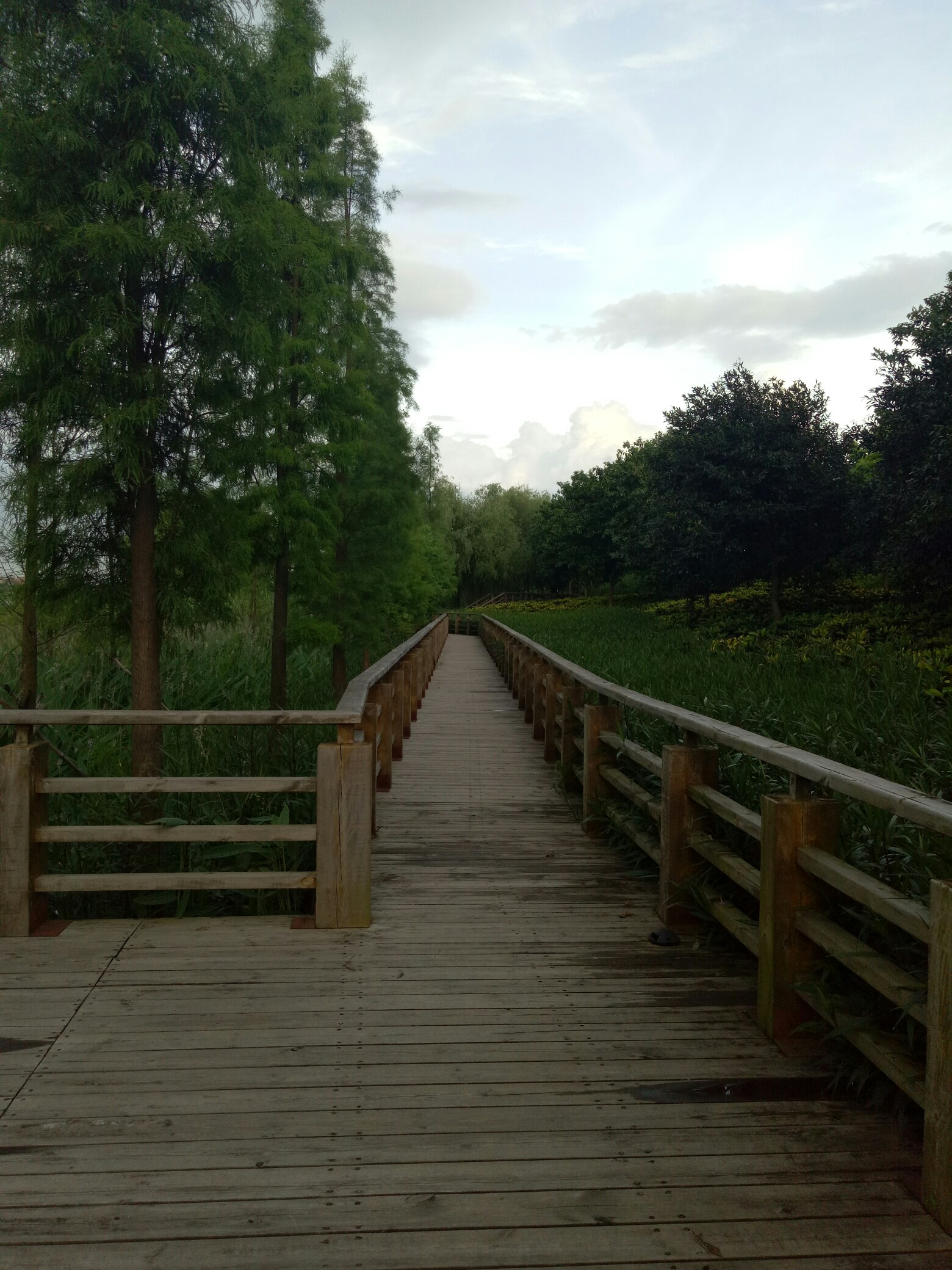 走过的路,风景图