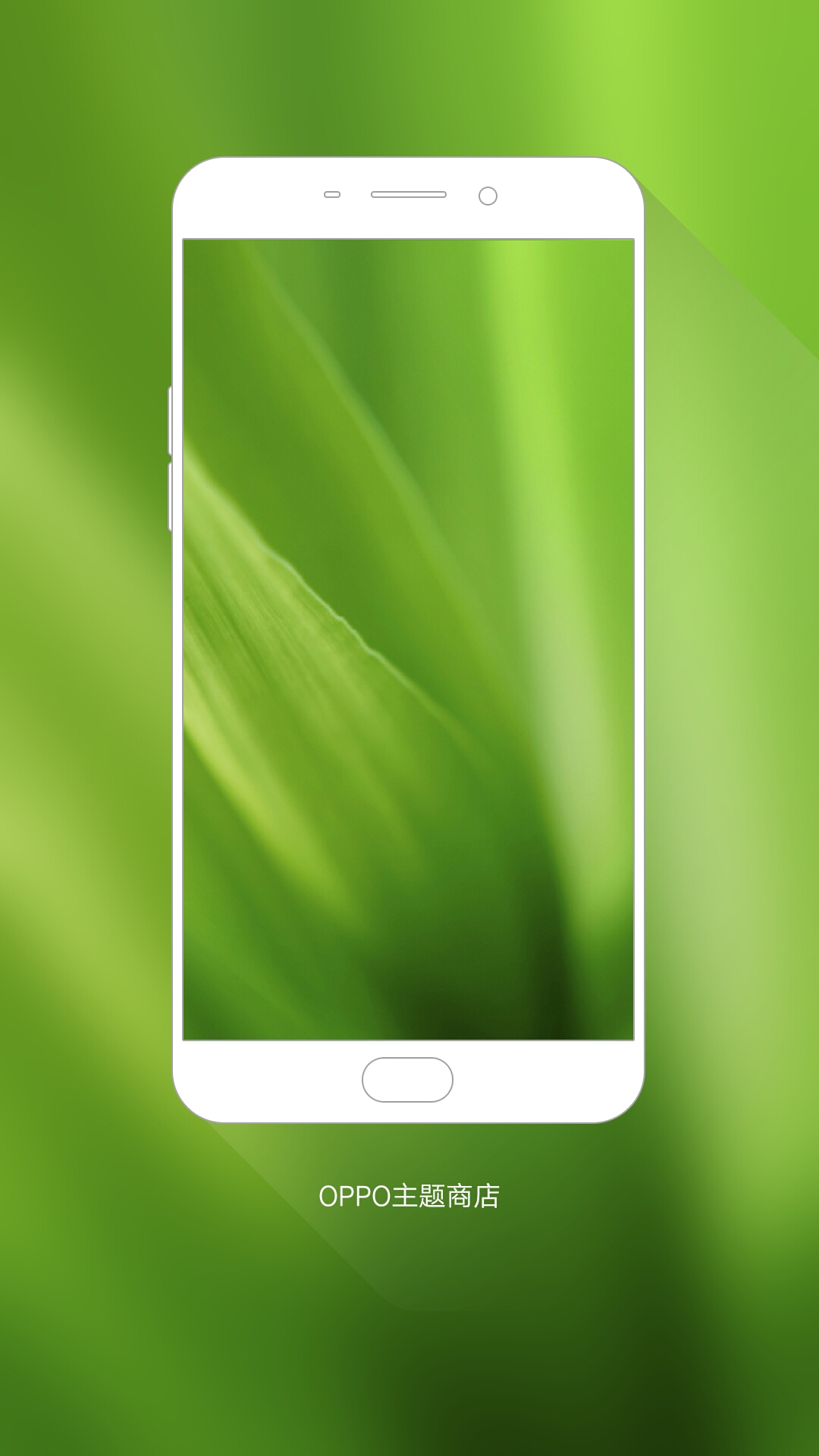 我在#oppo主题商店#发现一款壁纸 绿色2 @c._帖子_oppo手机官方社区