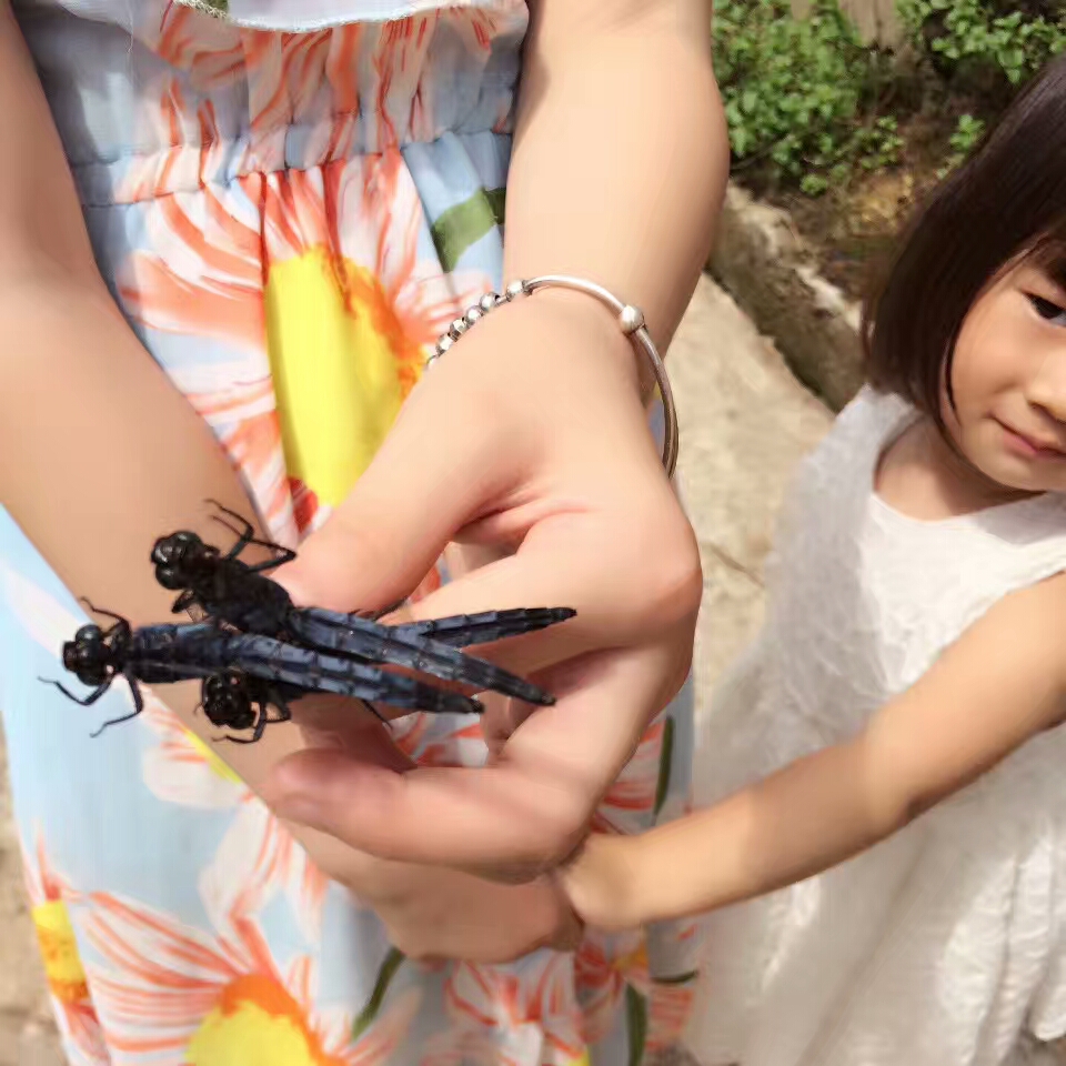 宝贝带着妹妹一起去网蜻蜓收获部小喔.