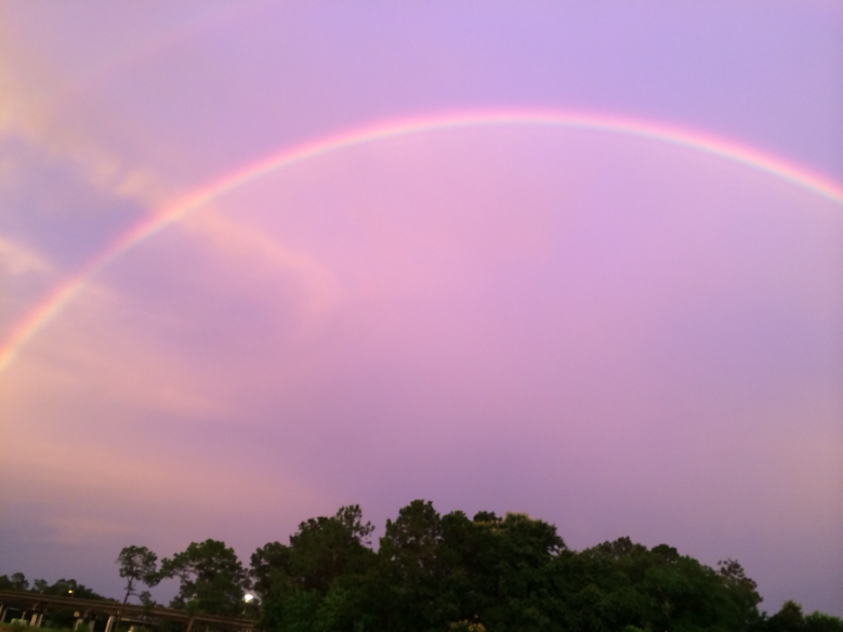 雨后的彩虹更美丽,磨难的人生更辉煌!