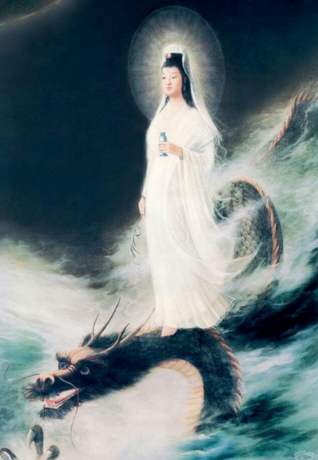 来自oppo a31.拍照手机