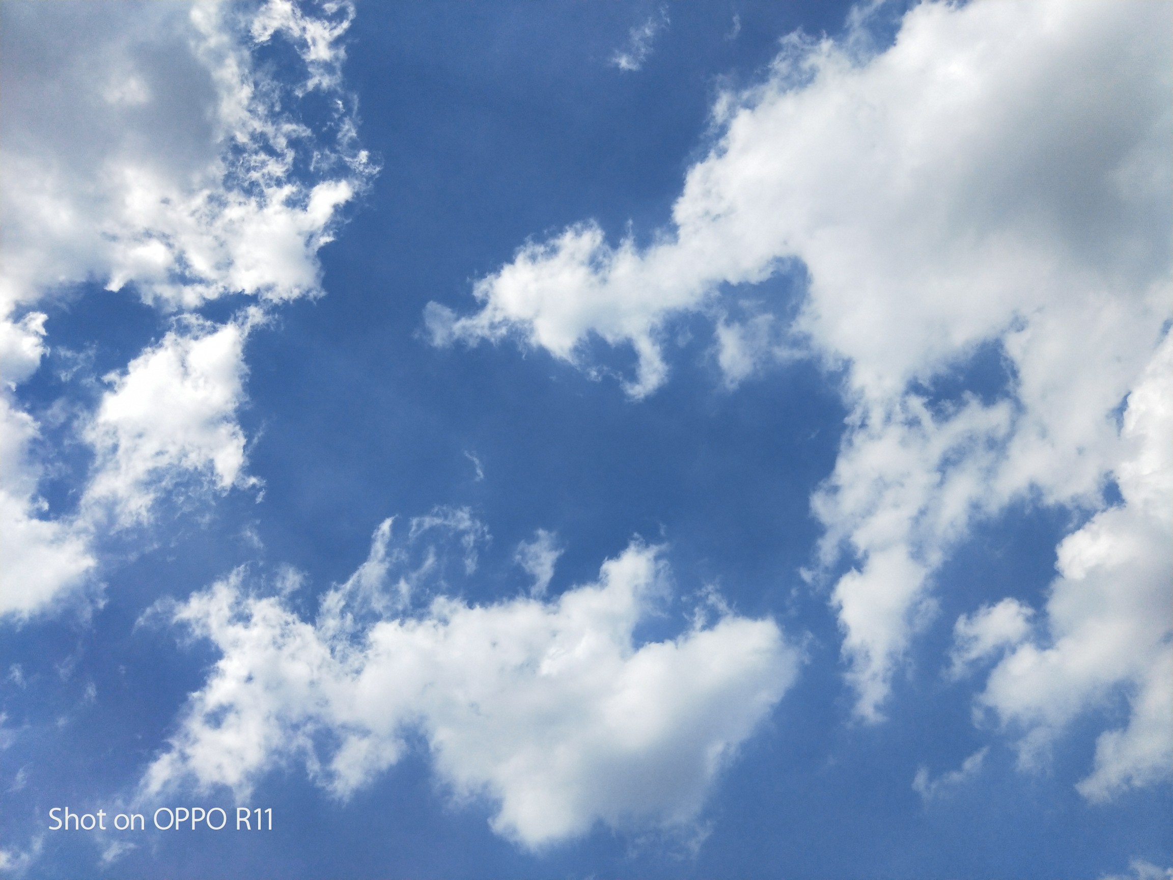 r11#纯原图,怎么拍怎么美_帖子_oppo手机官方社区