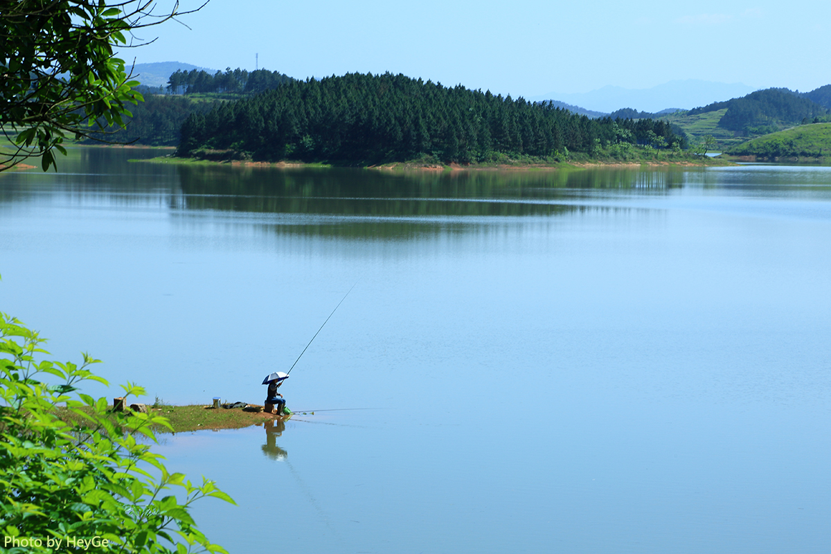 反正拍一夏##用手机记录生活#网图分享