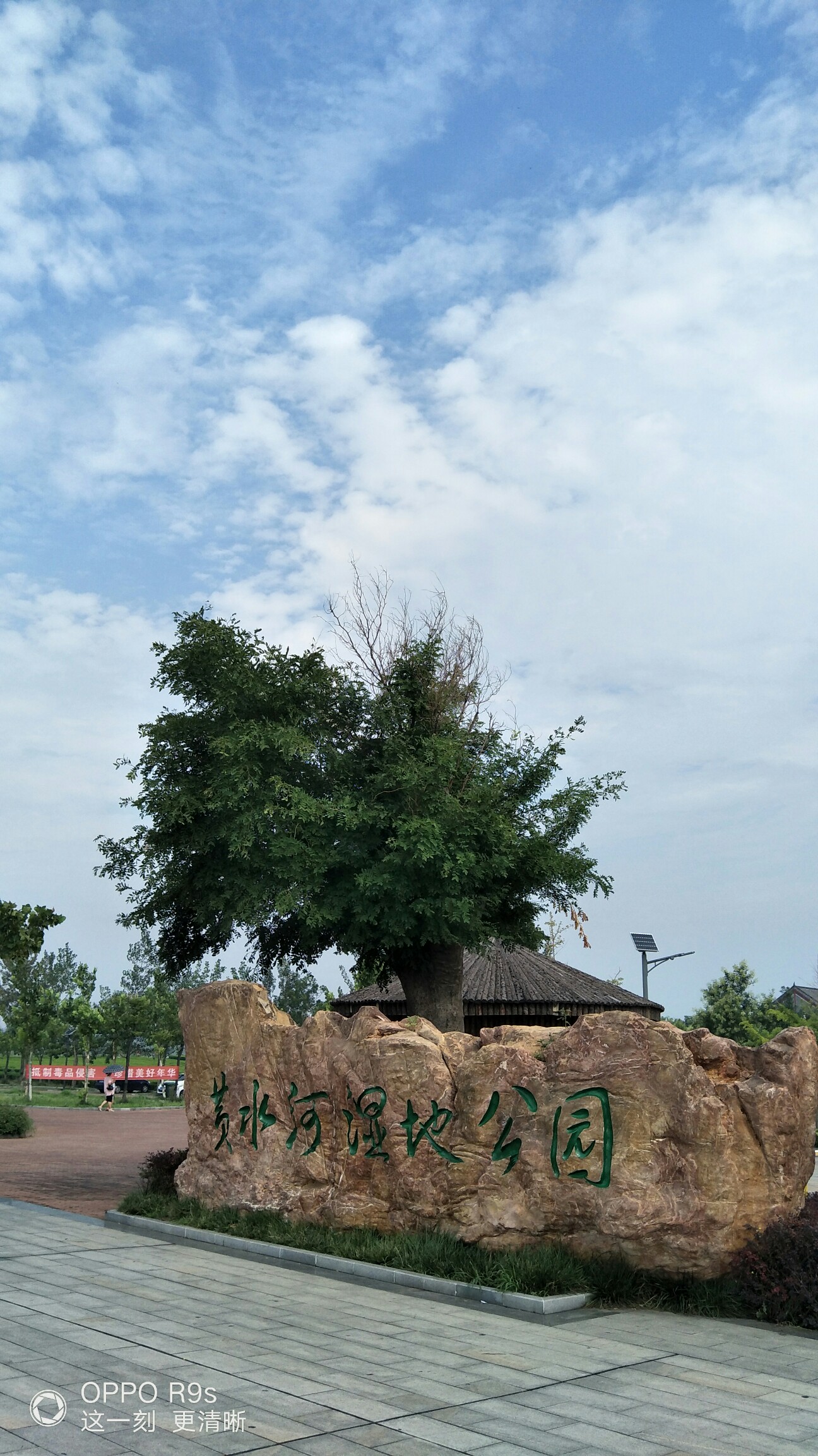 【原创摄影】龙口市黄水河湿地公园