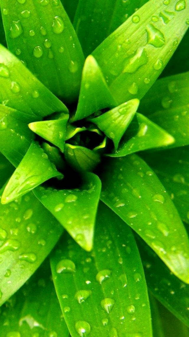 帖子_oppo手机官方社区