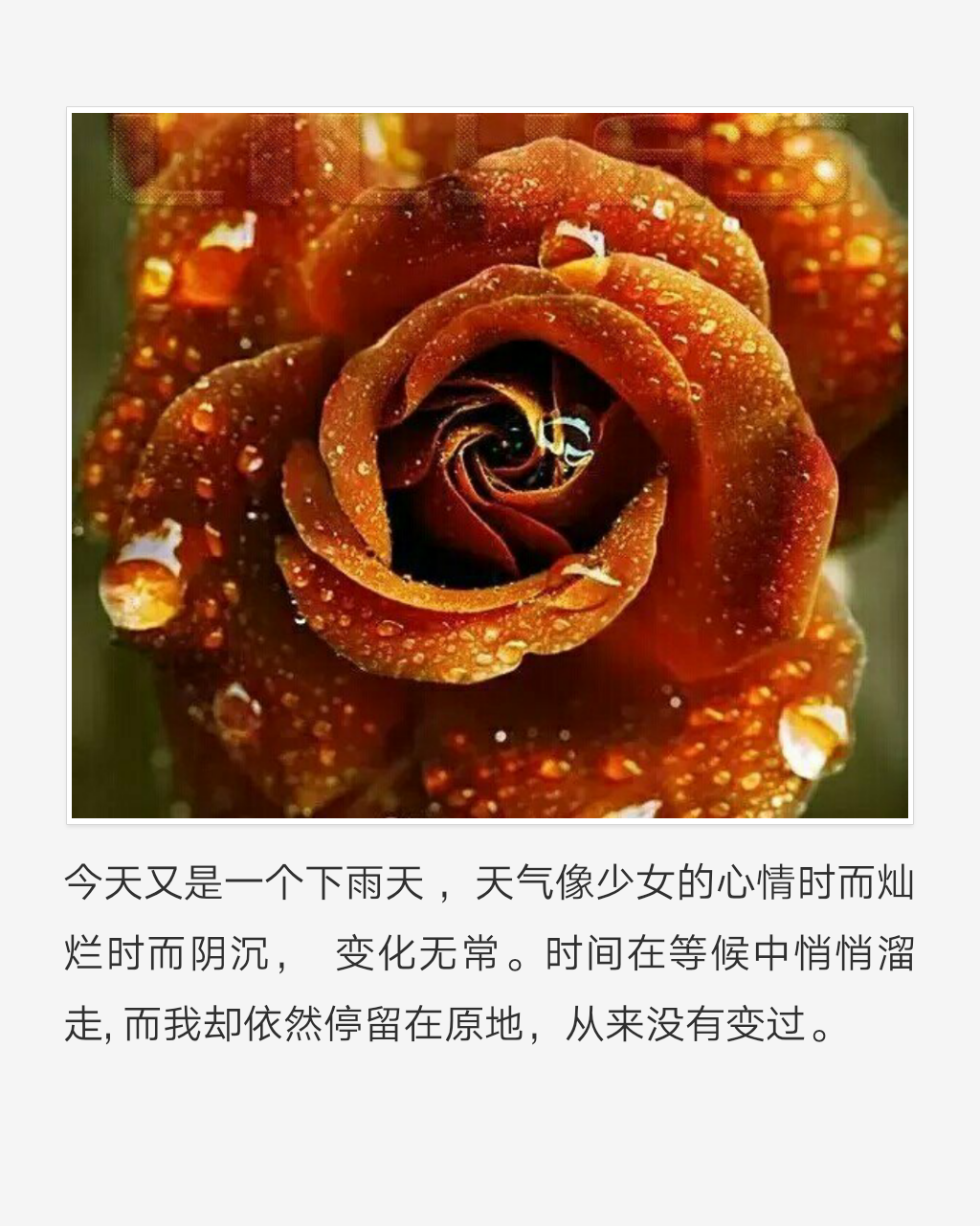 锞鲭}