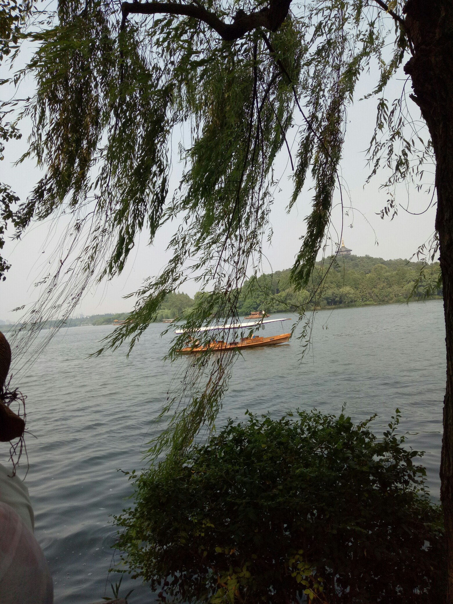 西湖美景,八月天内