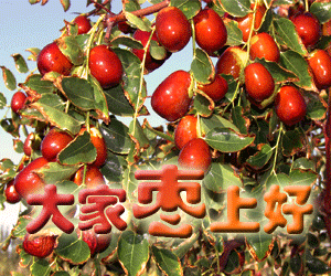 300_250gif 动态图 动图