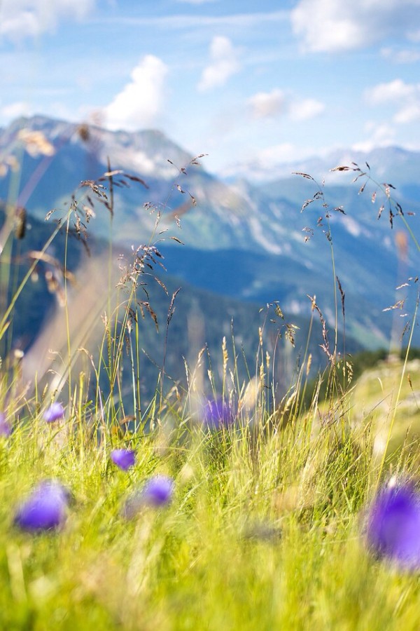 梦再长,终究会醒._帖子_oppo手机官方社区