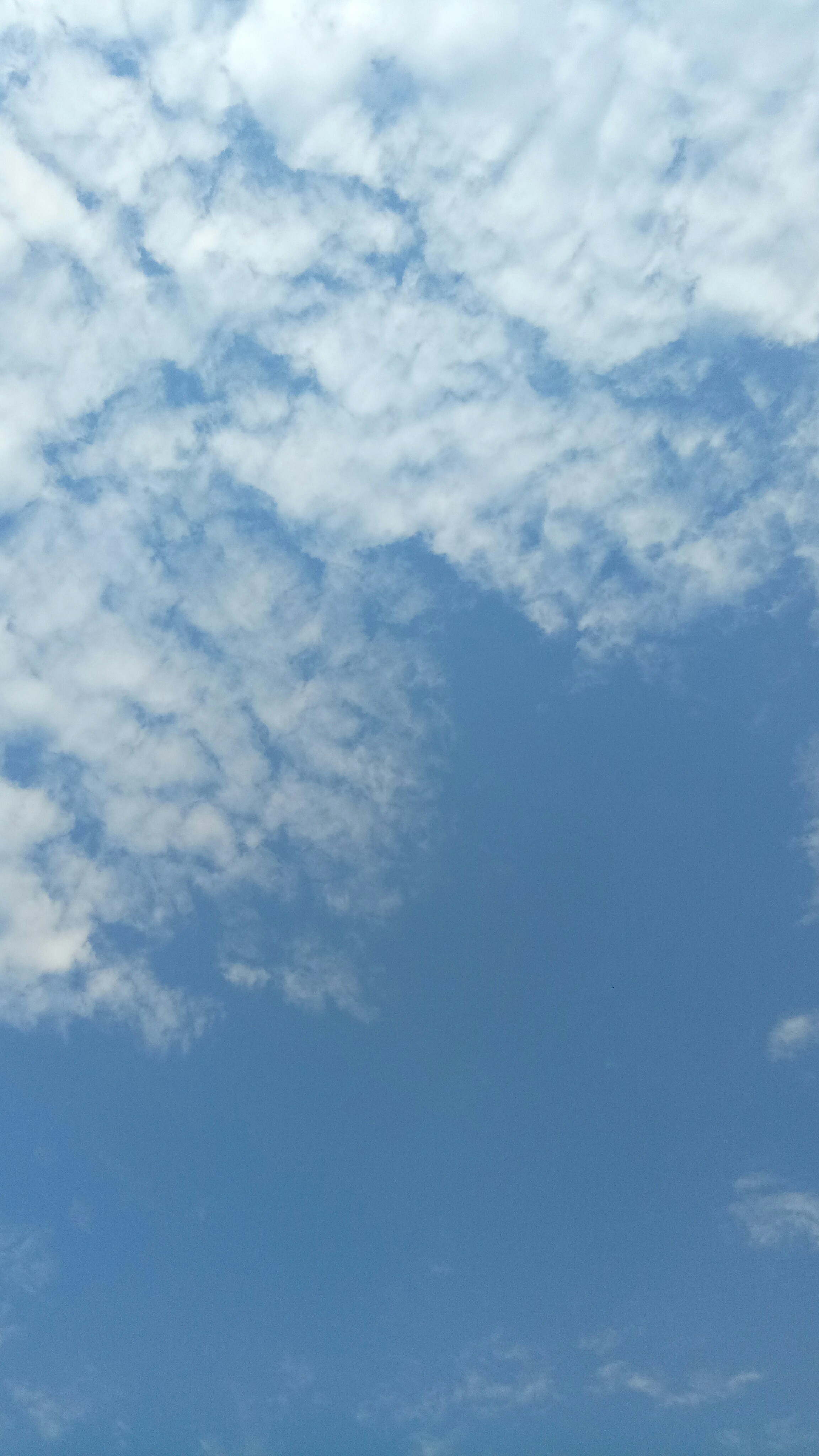 15016530042176.jpg