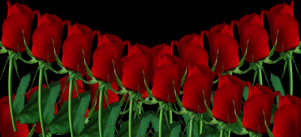 友们送给你_帖子_oppo手机官方社区