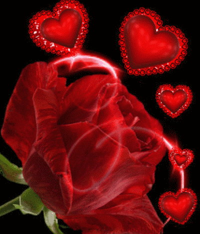 心好泪01 大点点话太多被嫌弃了~_帖子_oppo手机官方社区