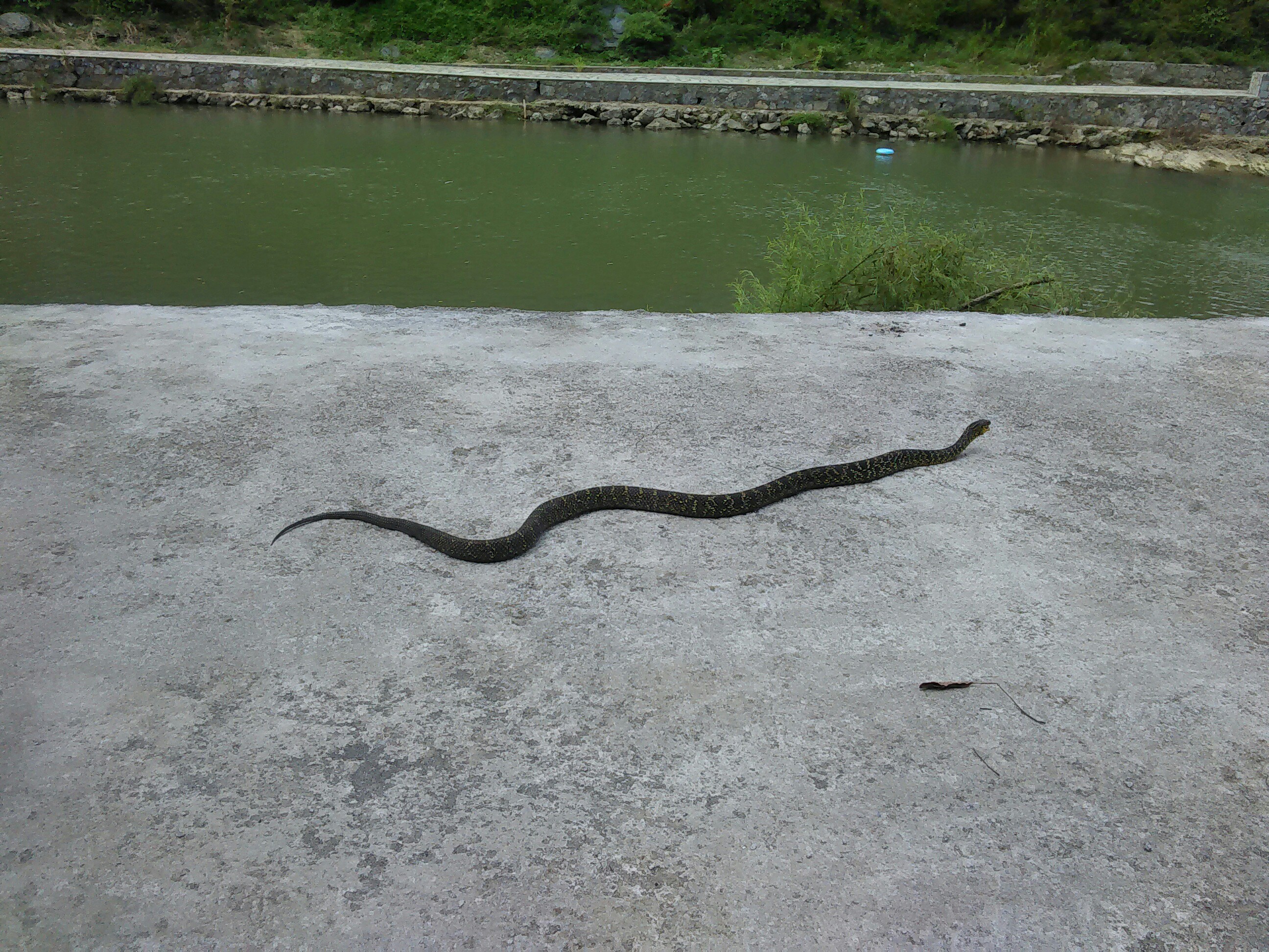 偶遇[表情][表情]_帖子_oppo手机官方社区