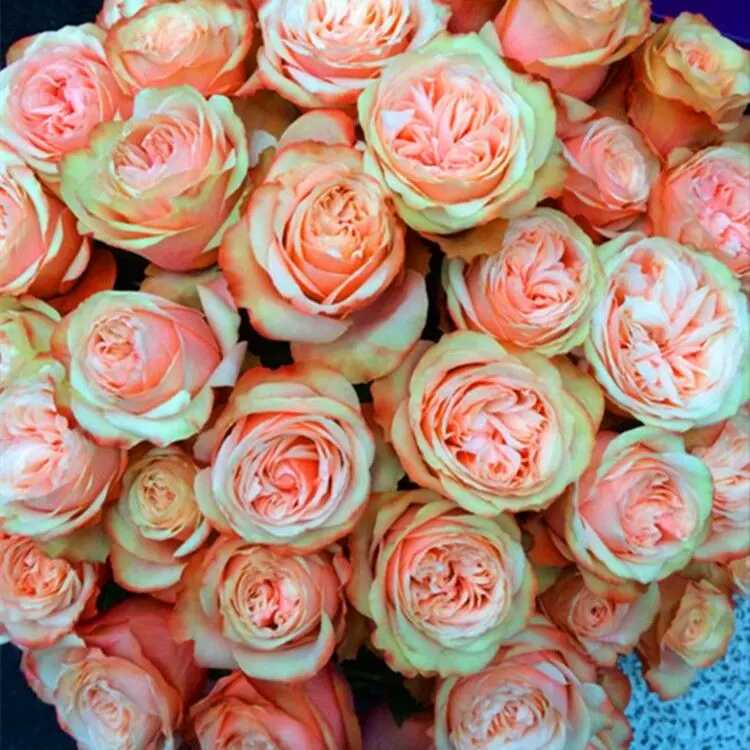 佳人有所思,何人可托付.孤枕总难眠,何日结良缘.