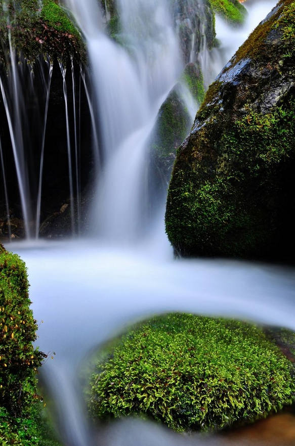 人间仙境,太美了!