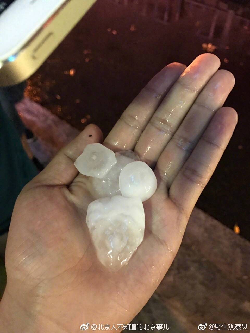 用手机记录生活#看一看这些冰雹有多大