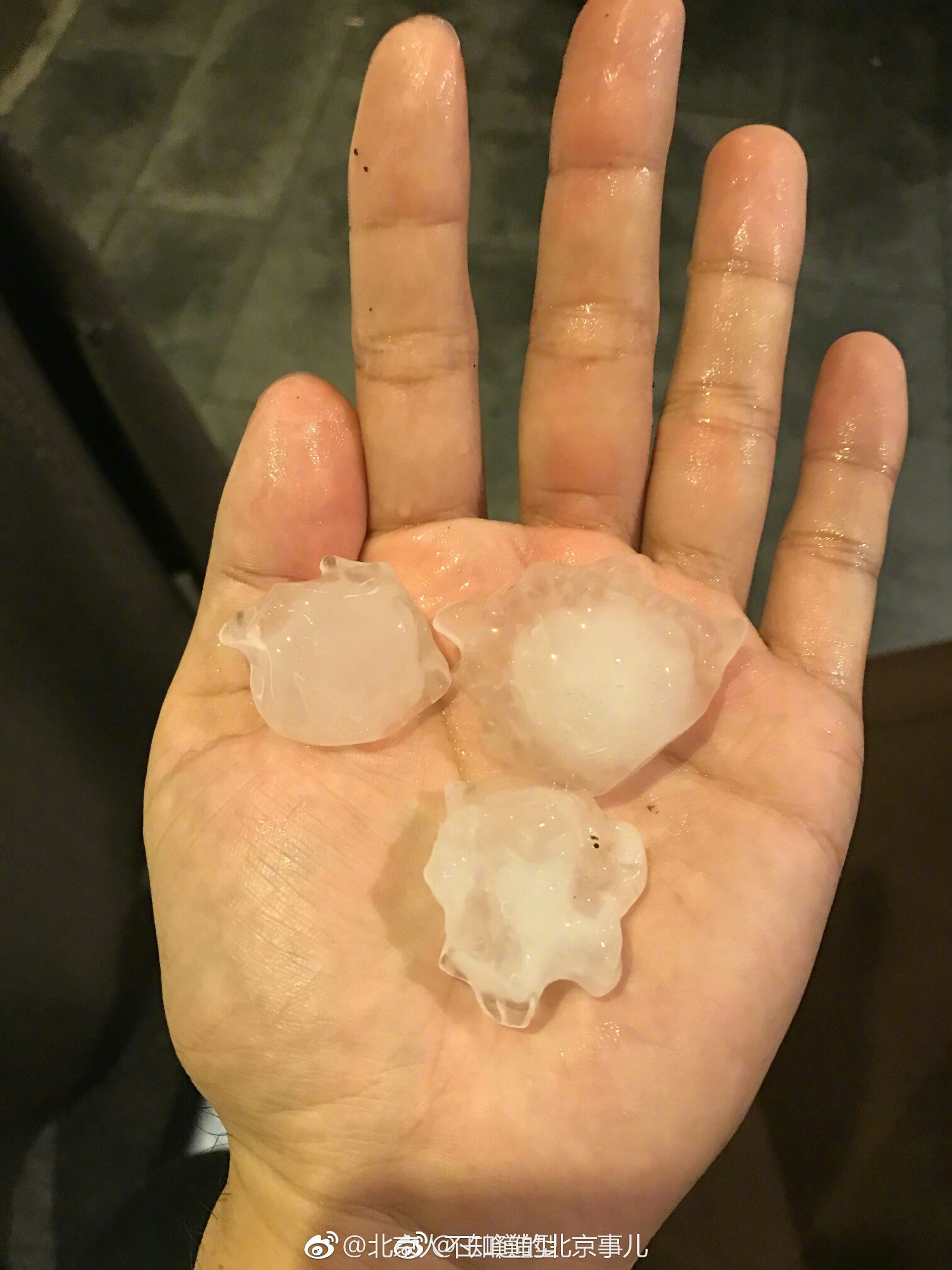 用手机记录生活#看一看这些冰雹有多大_帖子_oppo手机官方社区