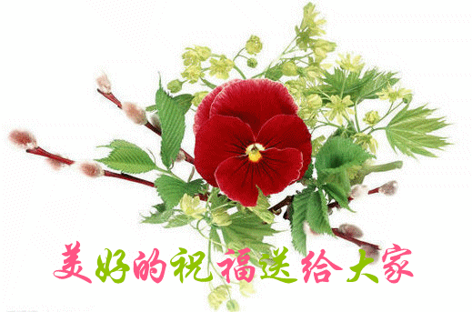 519_343gif 动态图 动图