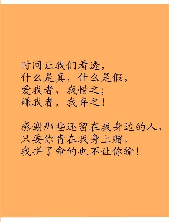 15027686782688.jpg