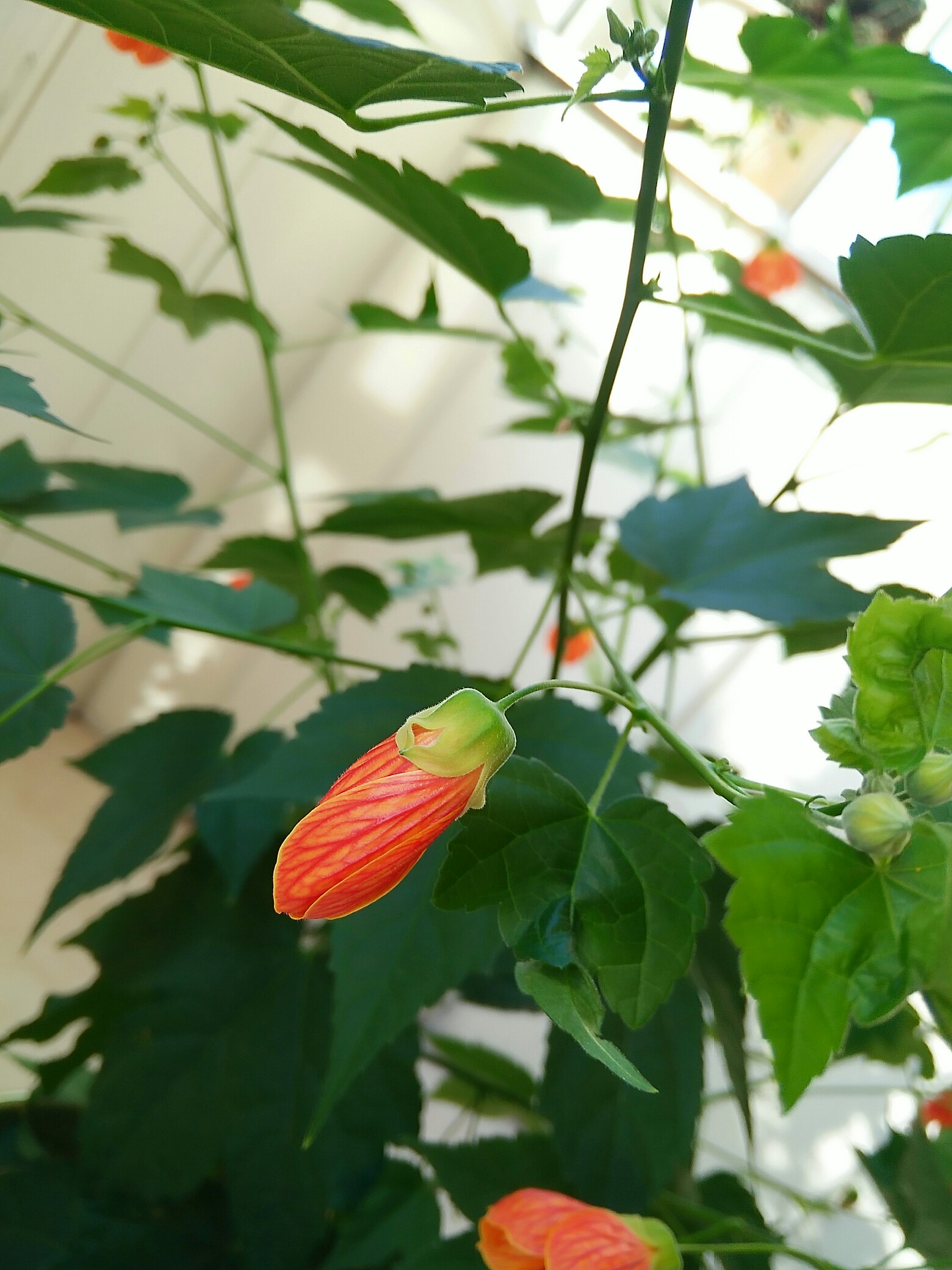 压力的极限就是:又痛哭一场,然后让一切继续