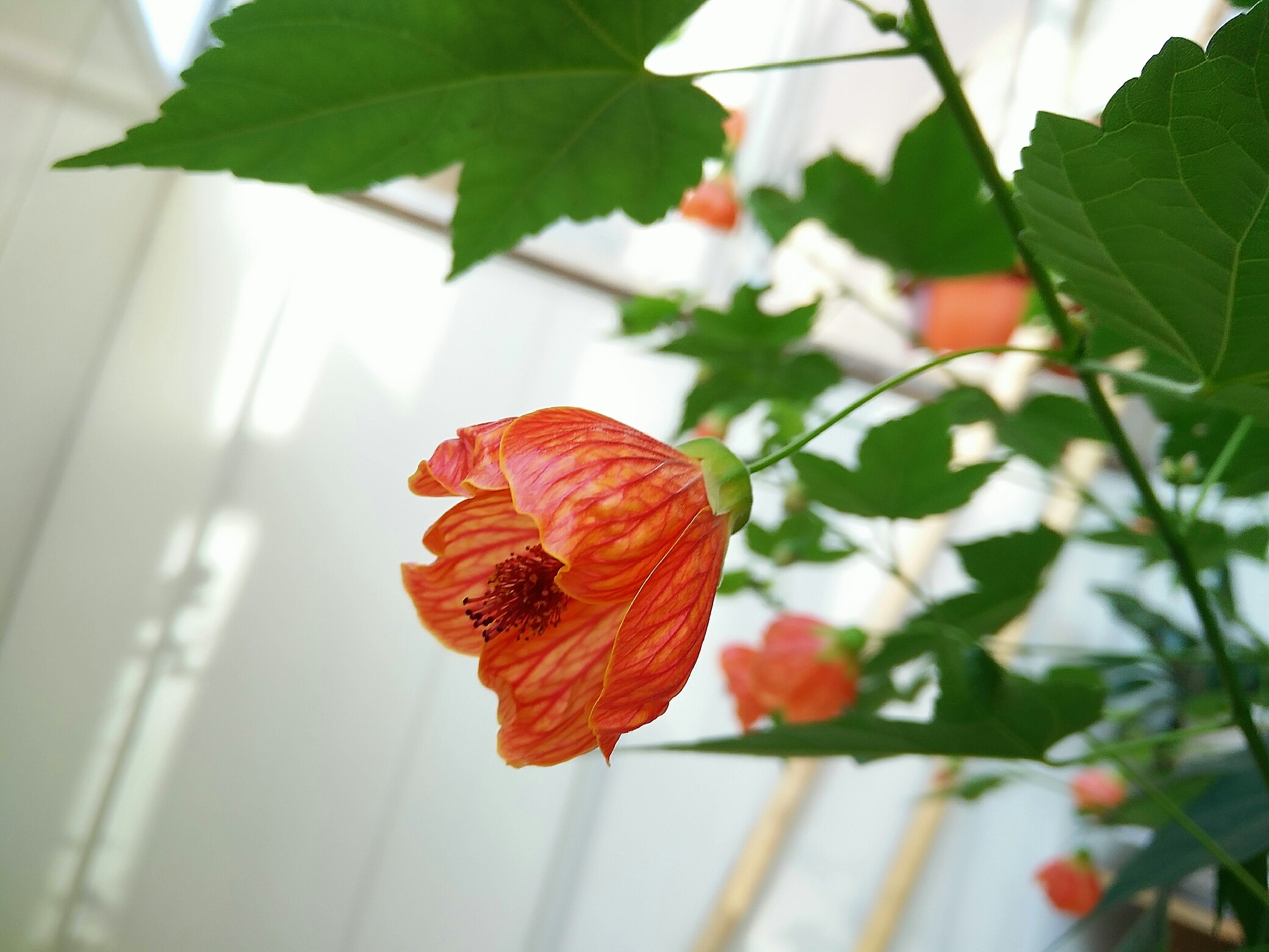 压力的极限就是:又痛哭一场,然后让一切继续