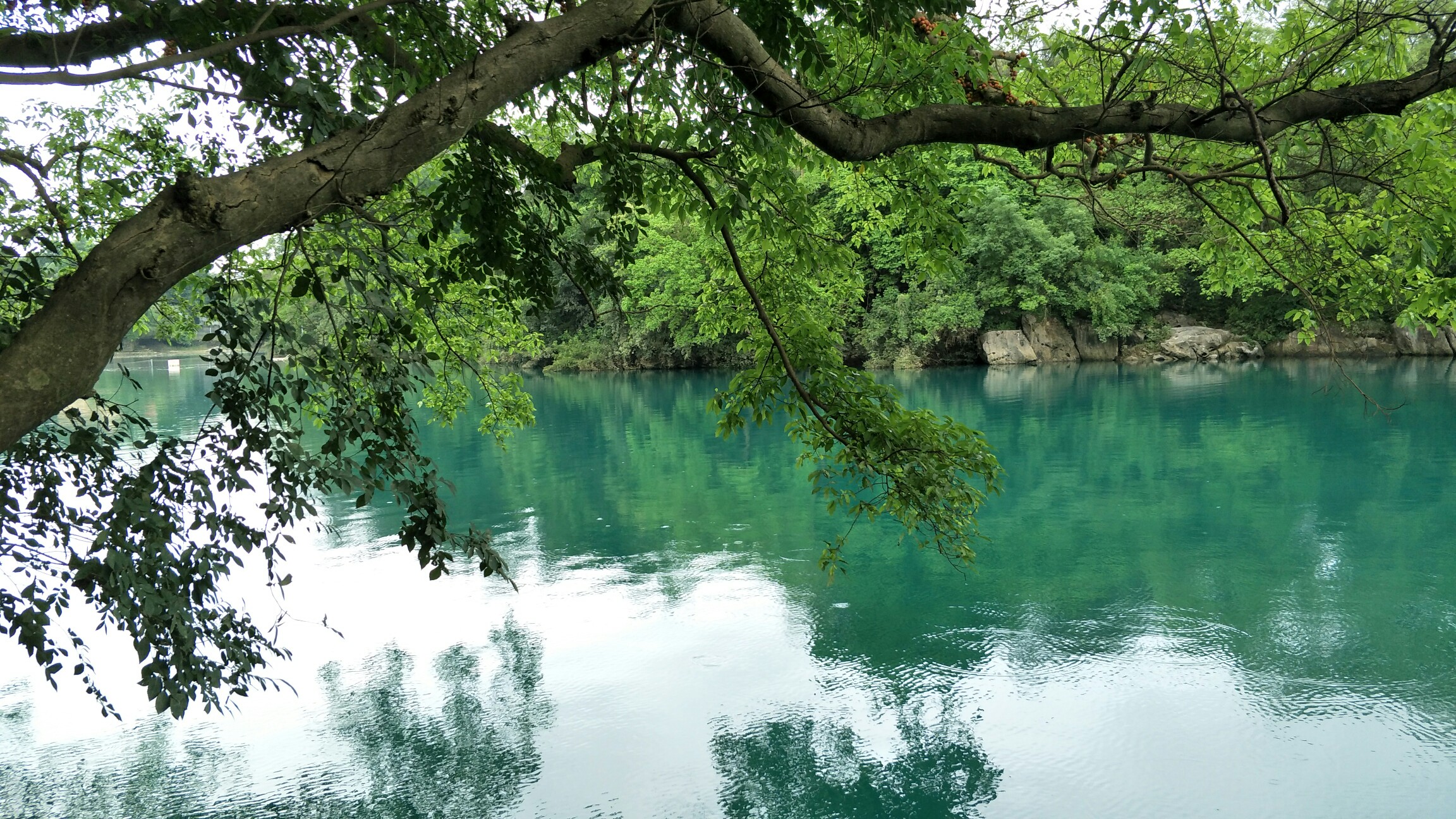 岸边美,水清到见底,灵水风景.