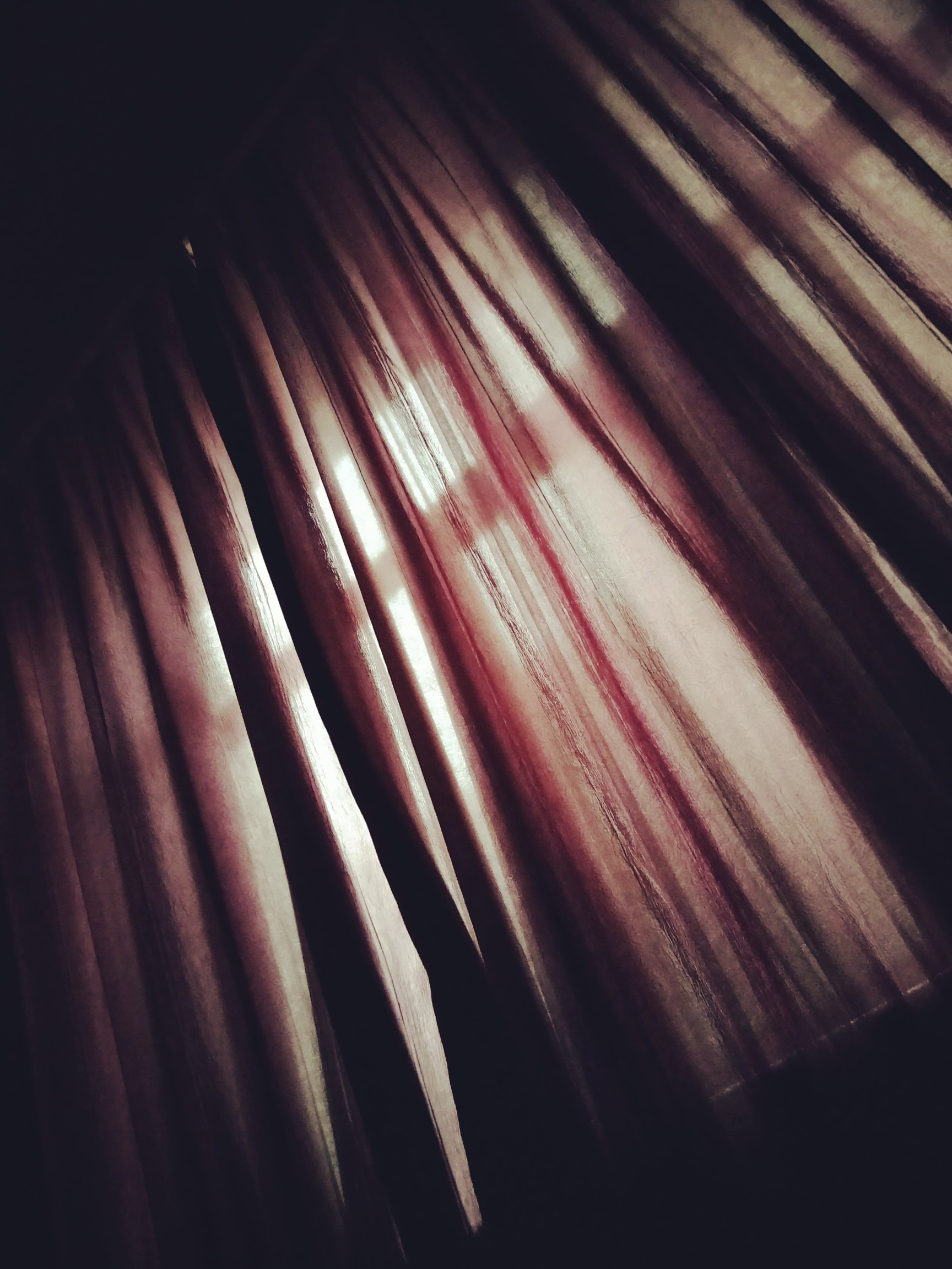 天已蒙蒙亮啦,不过本小姐还要继续睡