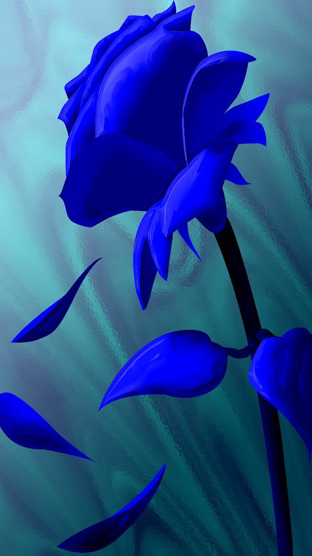 美_帖子_oppo手机官方社区