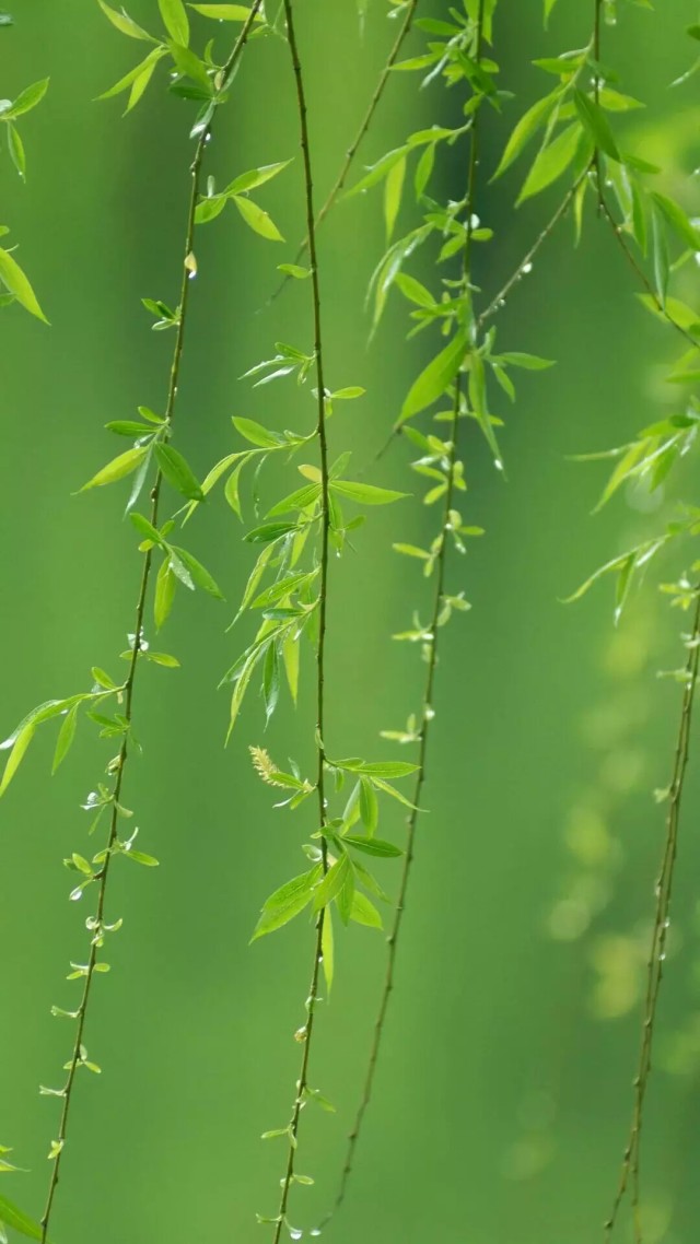 一千种生活,一种拍照方式#额_帖子_oppo手机官方社区