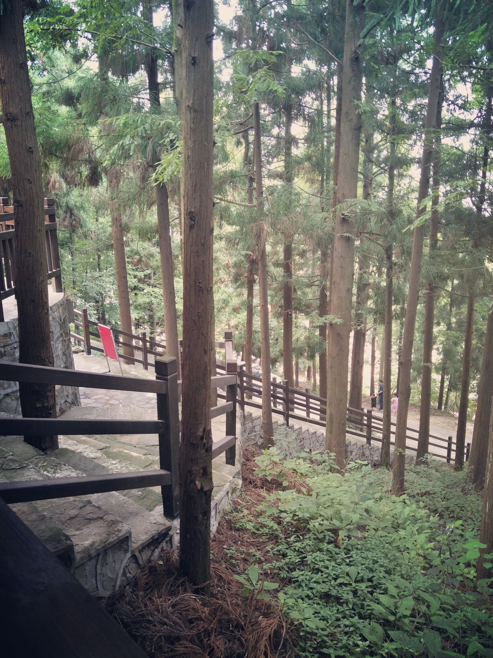 幽静的空间,寂寞的孤单