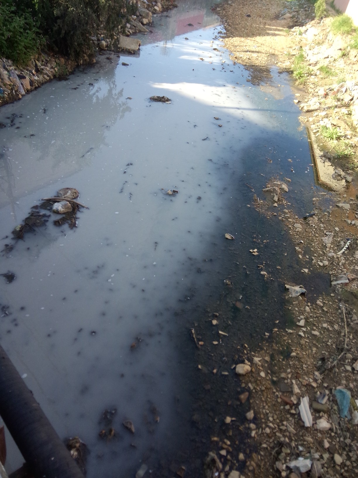 宜居小镇的臭水沟,平时流的是黑色的,今天变白了!