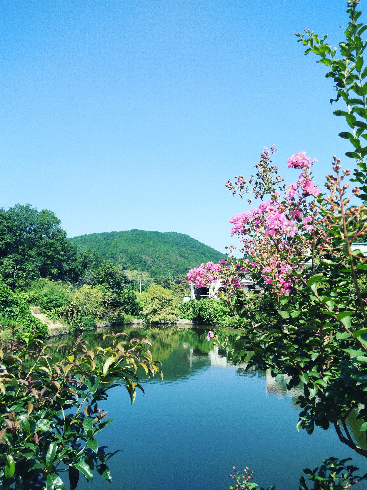 山明水秀 悦目赏心_帖子_oppo手机官方社区