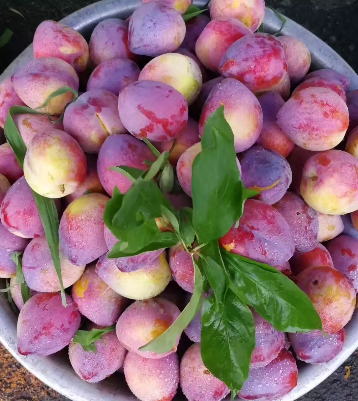 集安应季水果!集安最美,因为有你!