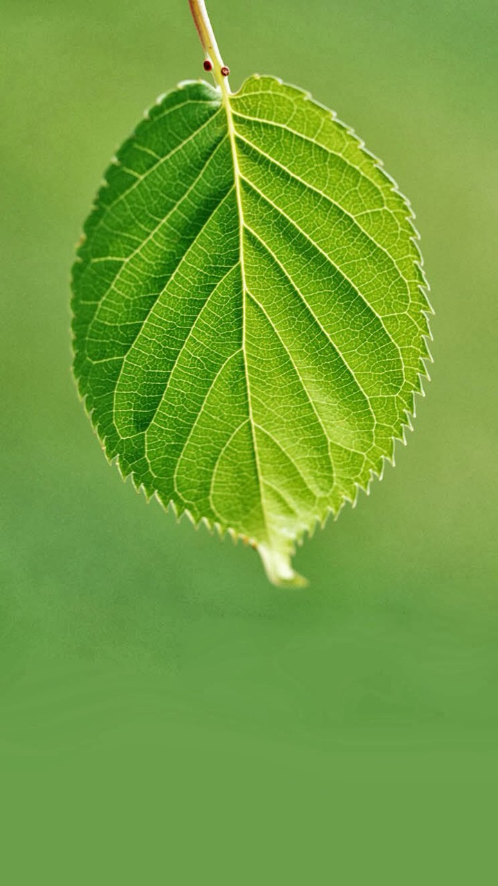 晴天晴风_帖子_oppo手机官方社区