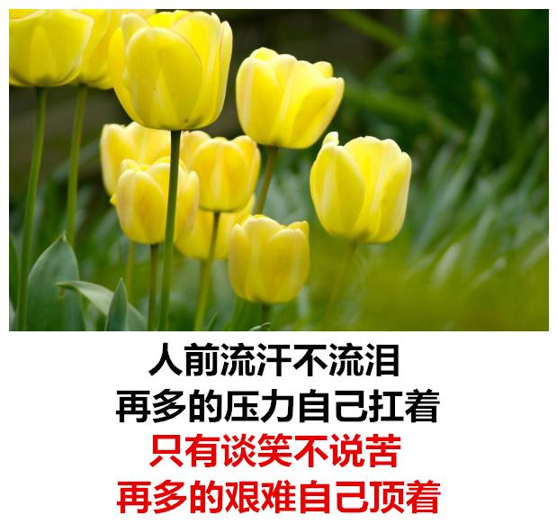 如果可以哭,谁愿意忍住,如果可以热闹,谁愿意一个人.