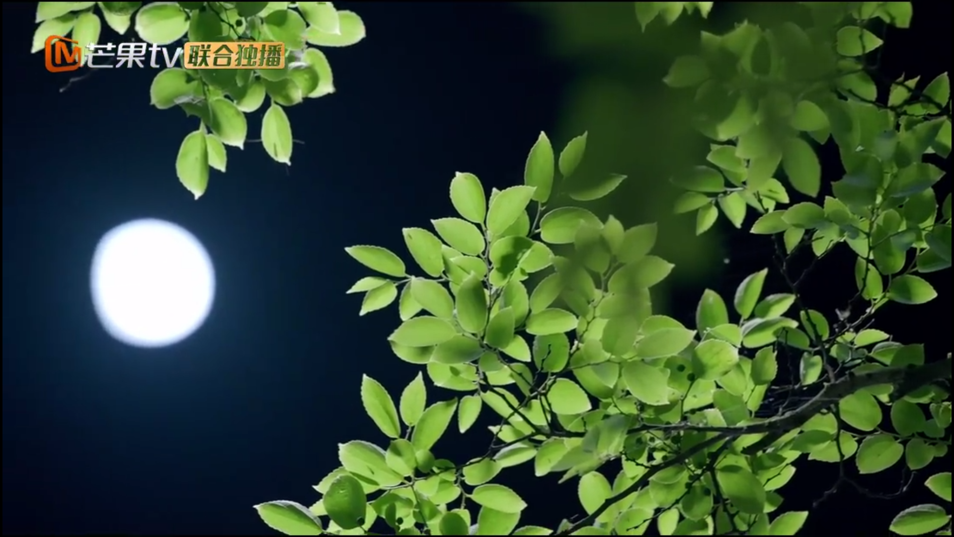 晚上好图片壁纸,晚上好图片,晚上好图片文字_文秘苑图库