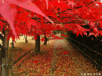 400_300gif 动态图 动图