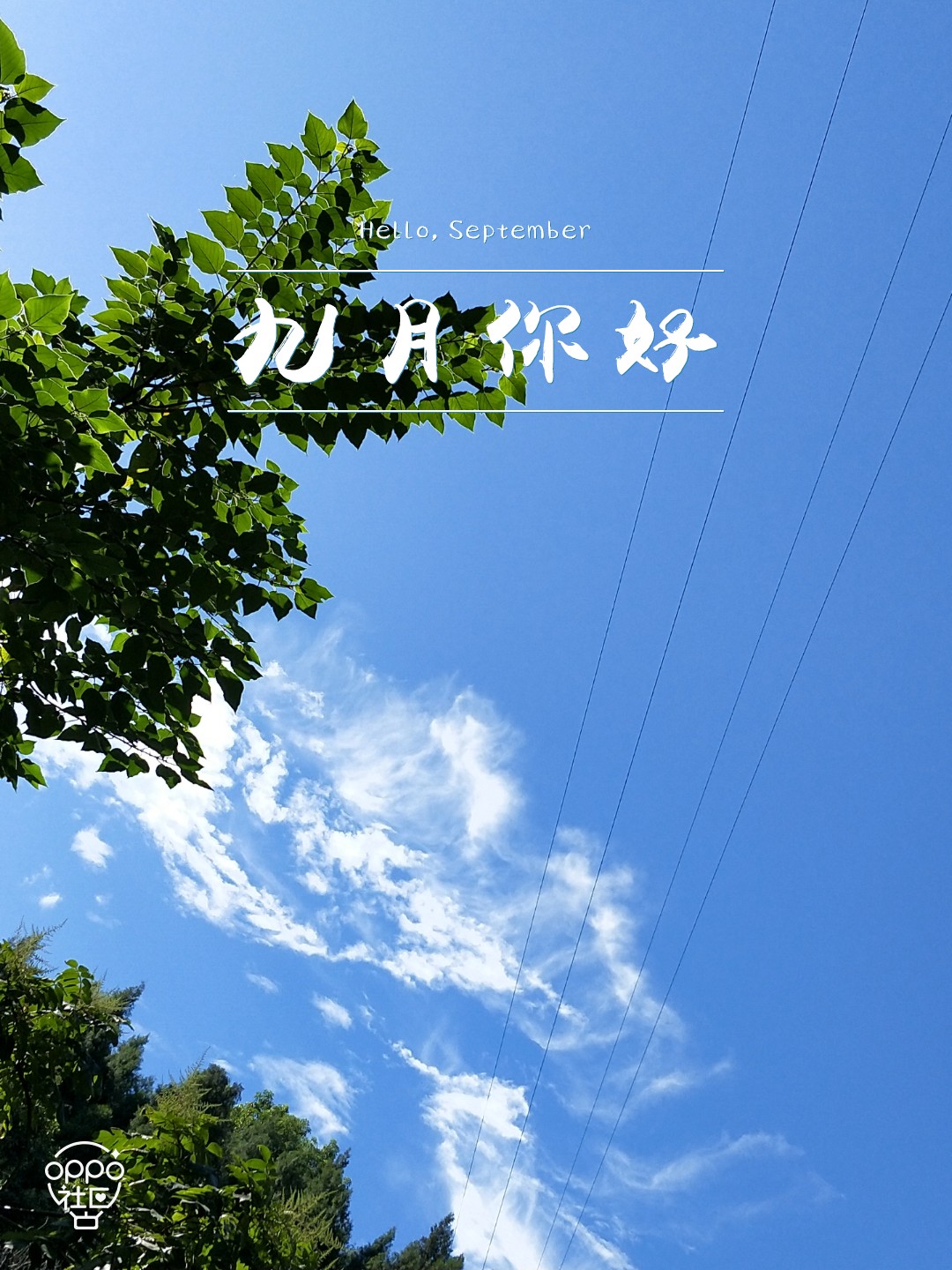 九月你好