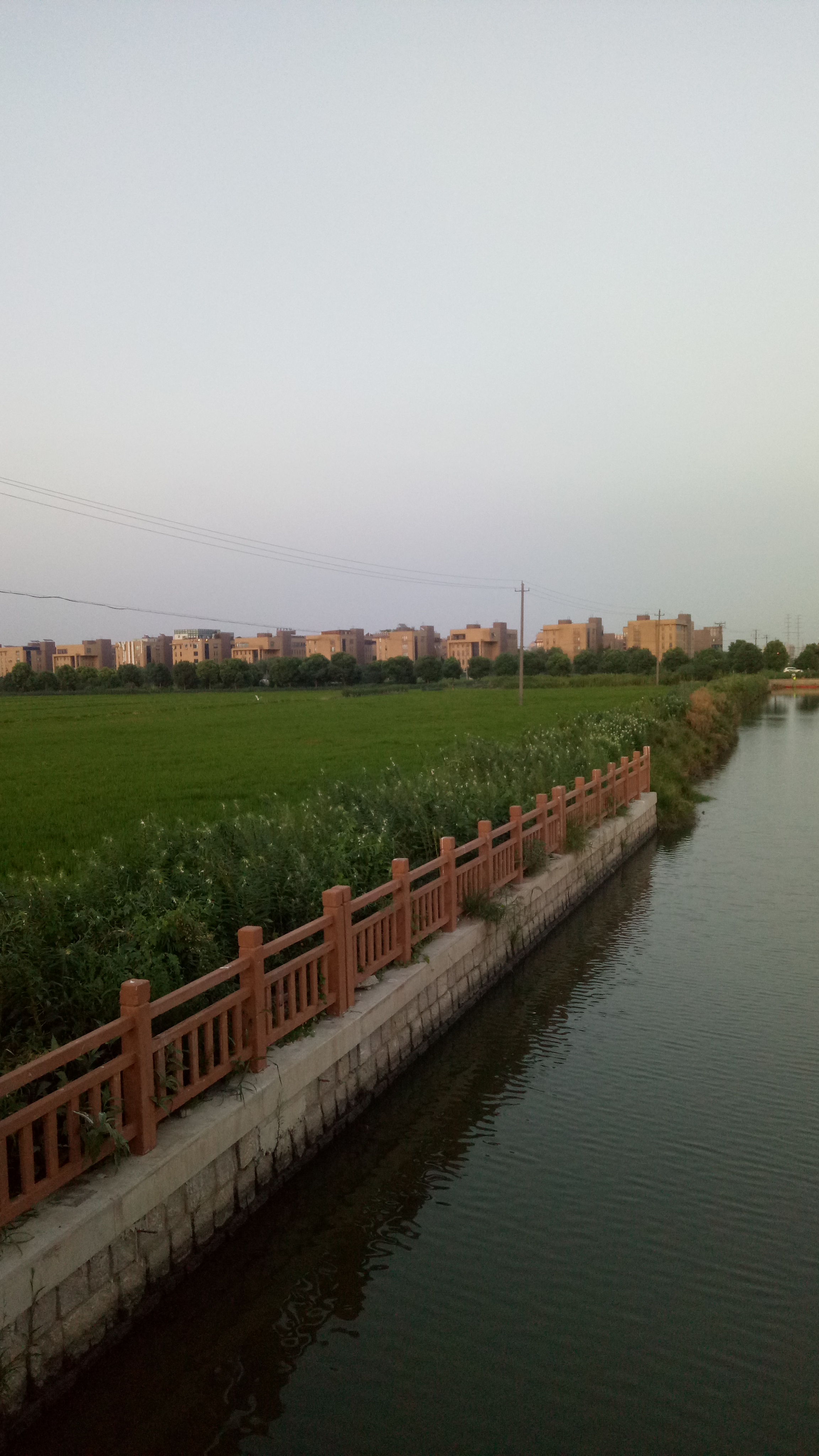 用手机记录生活#新修的河堤