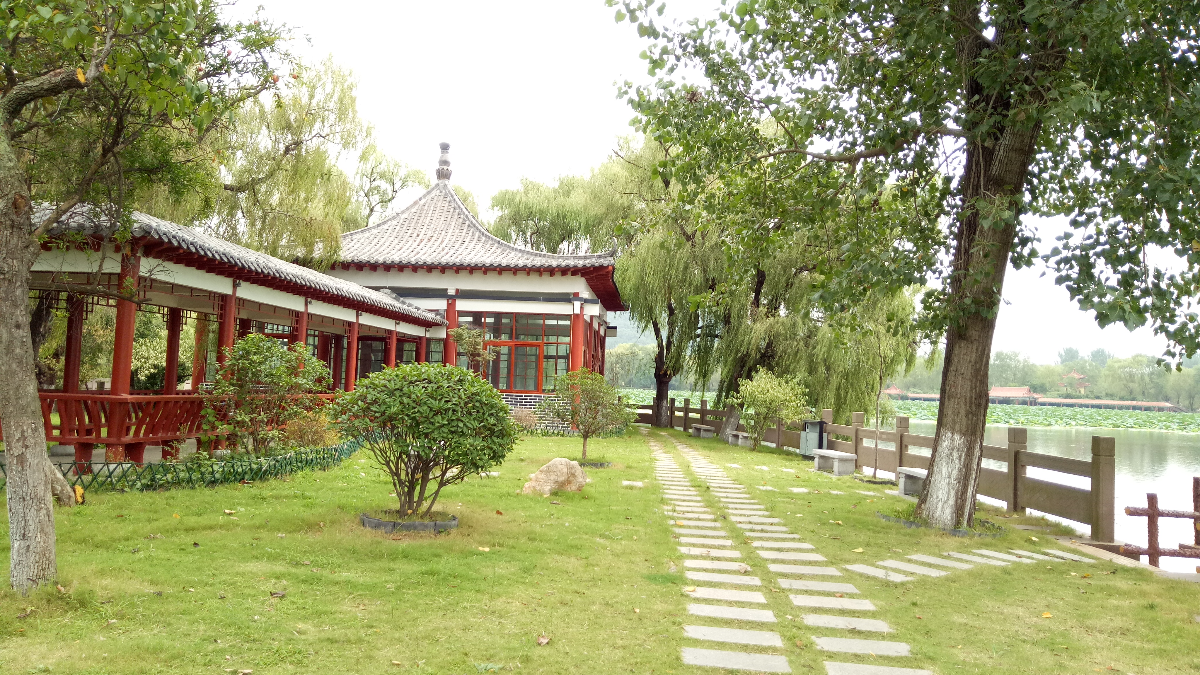 用手机记录生活#秋天的公园一角