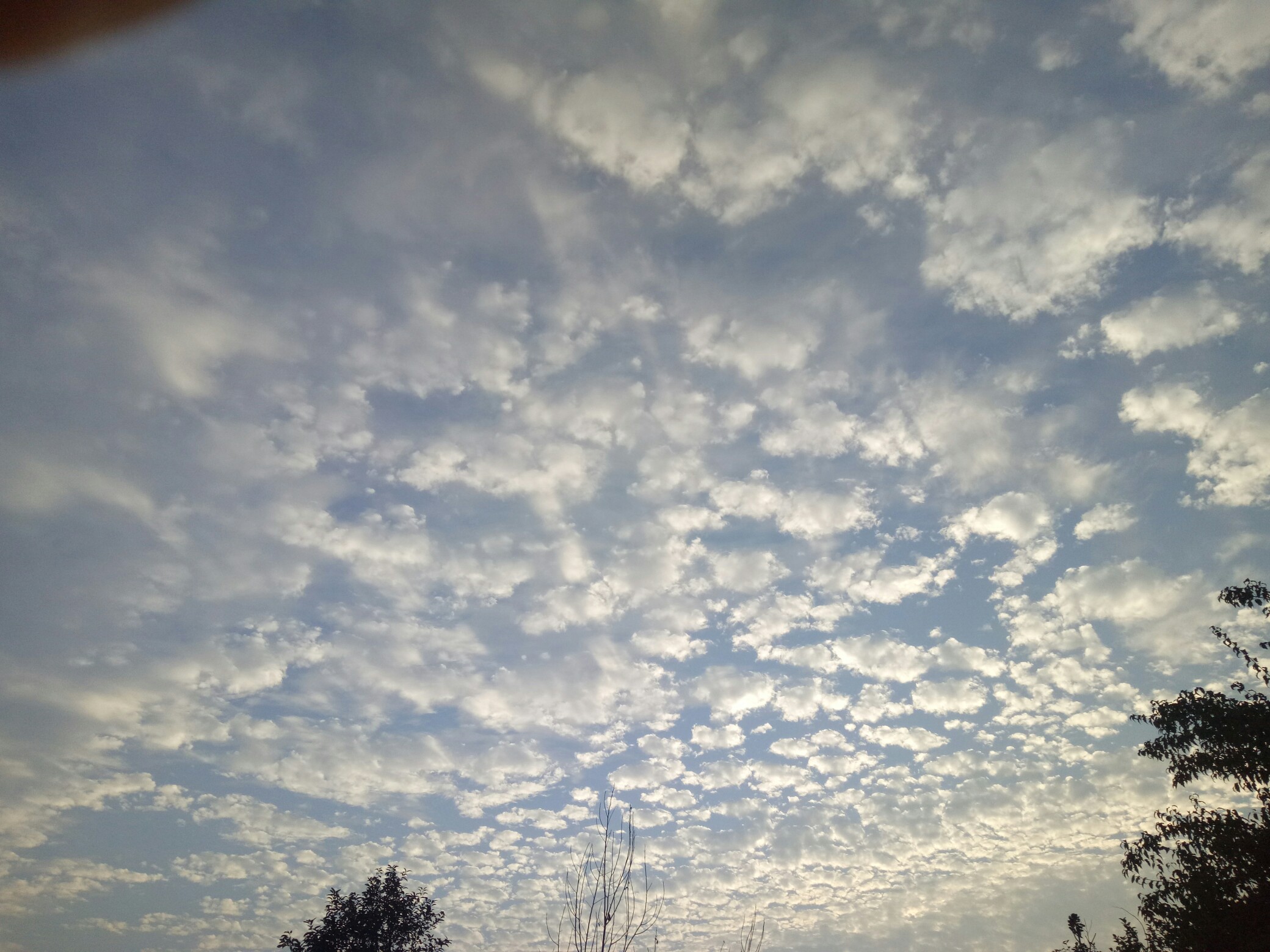 15050300582142.jpg