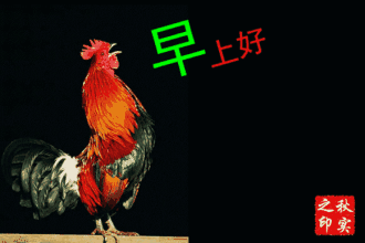 15054477835263.gif