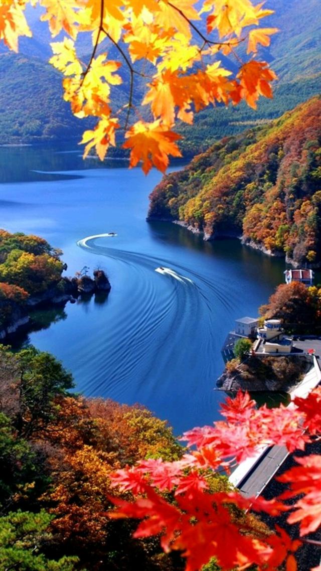 帖子_oppo手机官方社区